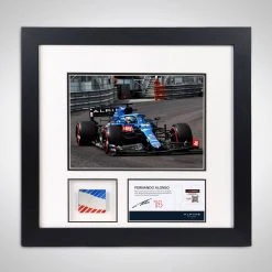Alpine Fernando Alonso 2021 Bodywork & Photo Alpine