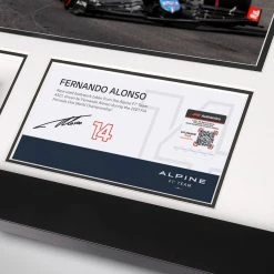 Alpine Fernando Alonso 2021 Bodywork & Photo Alpine