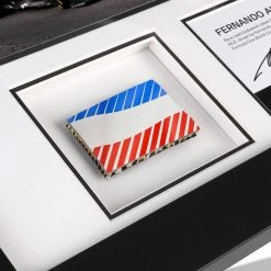 Alpine Fernando Alonso 2021 Bodywork & Photo Alpine