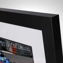 Alpine Fernando Alonso 2021 Bodywork & Photo Alpine