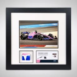 Alpine Fernando Alonso 2022 Bahrain GP Bodywork & Photo