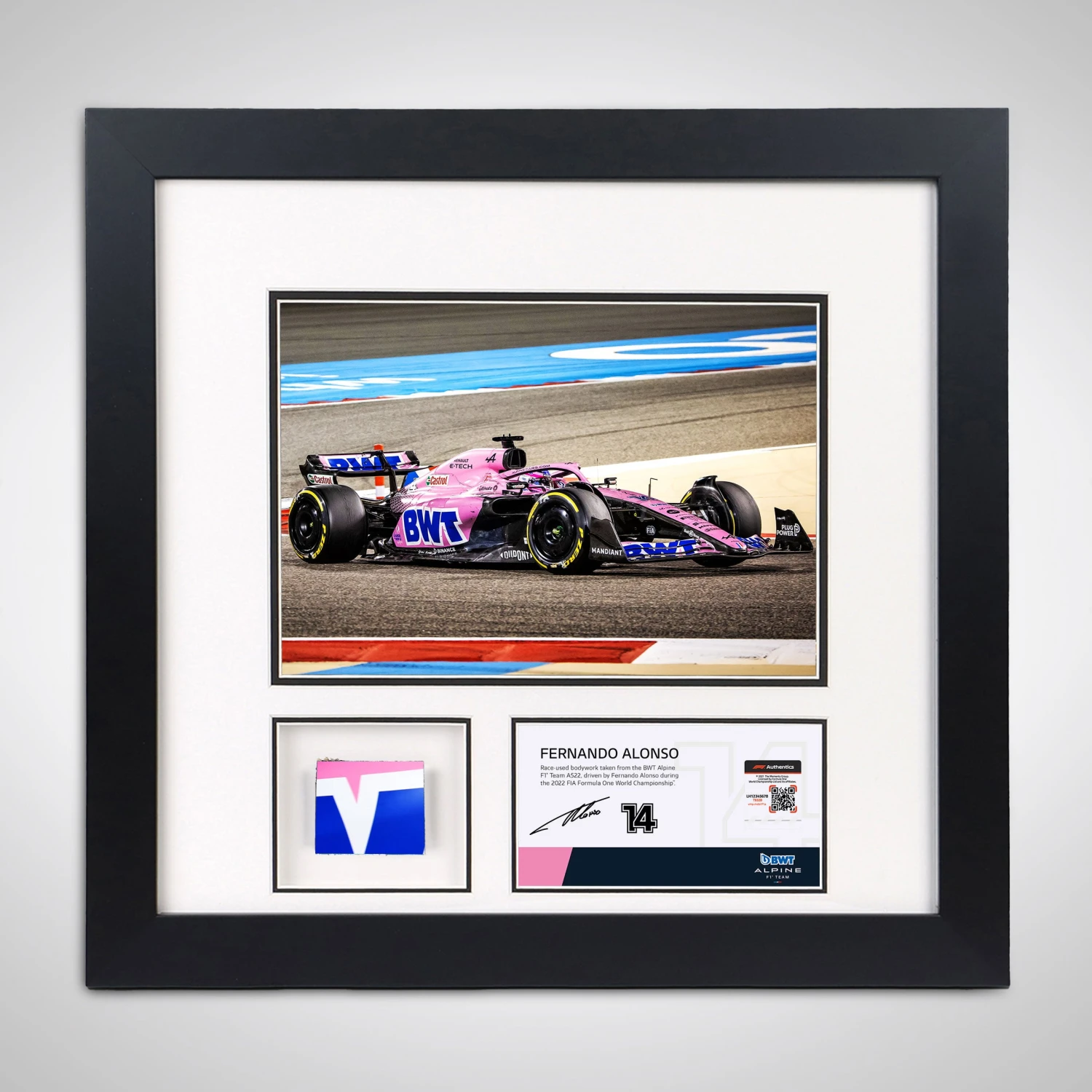 Alpine Fernando Alonso 2022 Bahrain GP Bodywork & Photo 1 Alpine Fernando Alonso 2022 Bahrain GP Bodywork & Photo