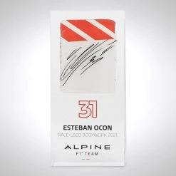Alpine Alpine Esteban Ocon 2021 Bodywork In Acrylic