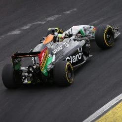 Sahara Force India F1 Team 2014 Rear Wing Endplate - Roshfran