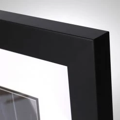 Mercedes-AMG Petronas Lewis Hamilton 2015 US GP Photo & Bodywork