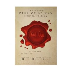 Ferrari Fernando Alonso 2013 Win - Paul Oz Ferrari