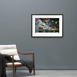 AlphaTauri Pierre Gasly 2020 Signed Italian GP Podium Photograph AlphaTauri